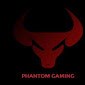 Phantom Gaming